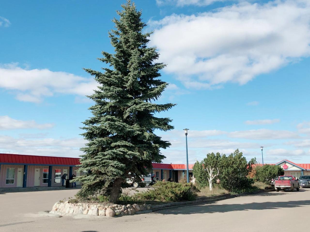 Canadian Motel North Battleford Exterior foto
